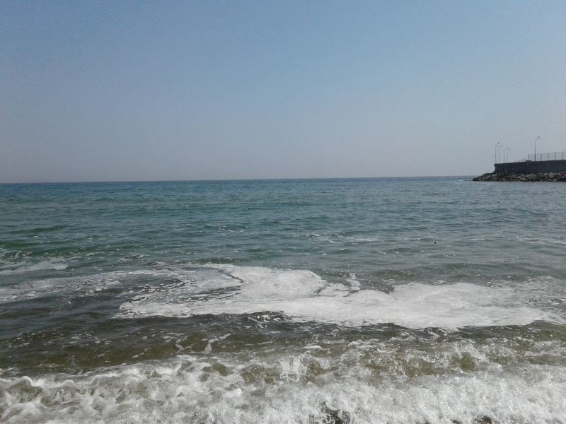 На побережье Одессы заметили странную пену (фото и видео)