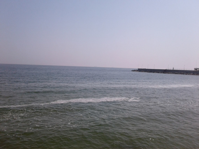 На узбережжі Одеси помітили дивну піну (фото і відео)