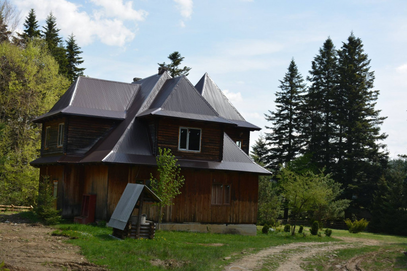 На Прикарпатті ведмідь нахабно обкрадає пасіки (фото)
