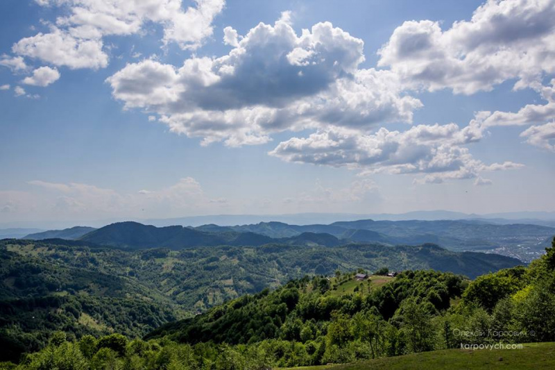 Весна во всей красе: в сети показали потрясающие фото Карпат