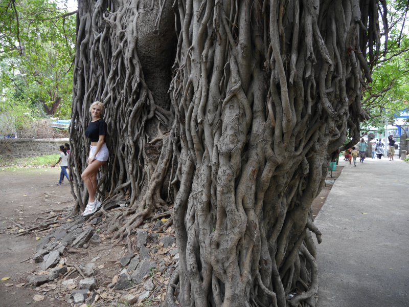 &quot;Мене вразило, як живуть люди&quot;: Ірина Федишин відкрила для себе нову країну