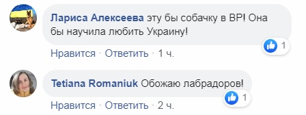 В Україні пес-патріот захопив мережу: відповідає на "Слава Україні"
