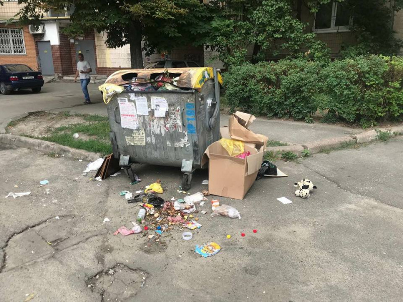 &quot;Нашестя гризунів&quot;: у Києві поскаржилися на численних щурів (фото)