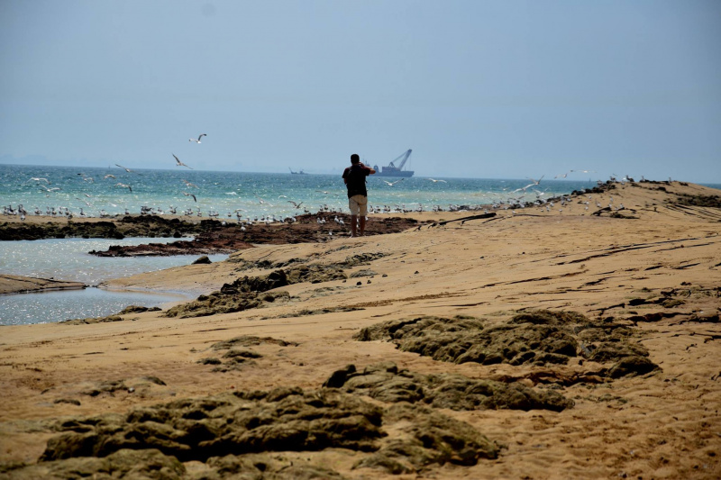 &quot;Не варто їхати сюди відпочивати&quot;: під Одесою зійшов сильний зсув (фото, відео)