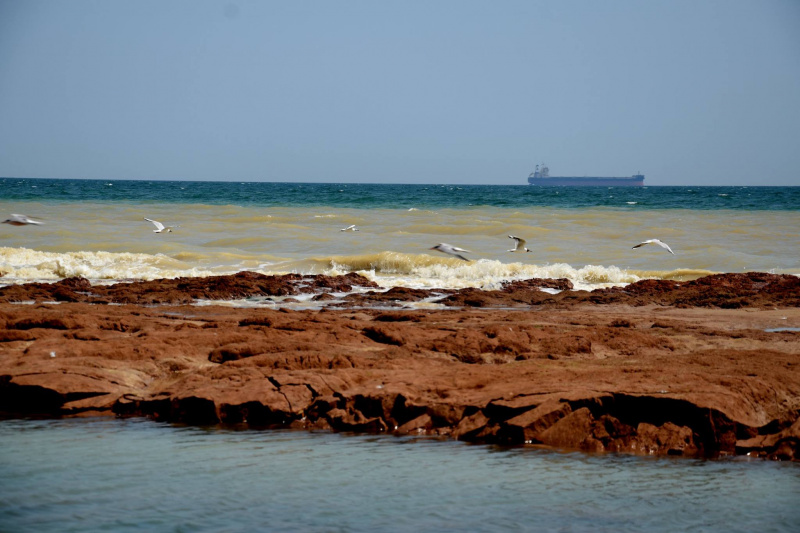 "Не варто їхати сюди відпочивати": під Одесою зійшов сильний зсув (фото, відео)