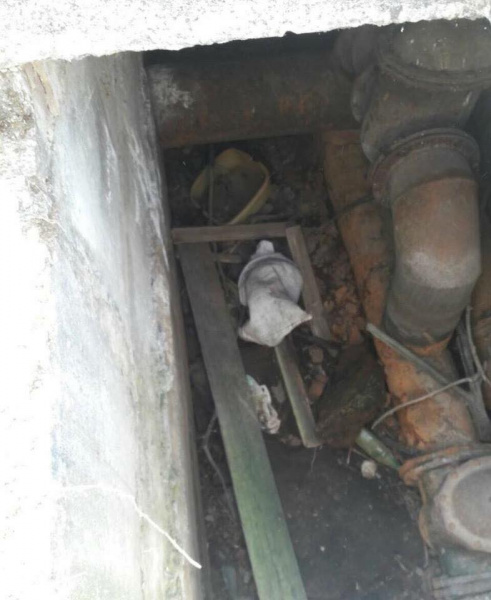 У Херсонській області собаку засунули в мішок і викинули в колодязь (фото)