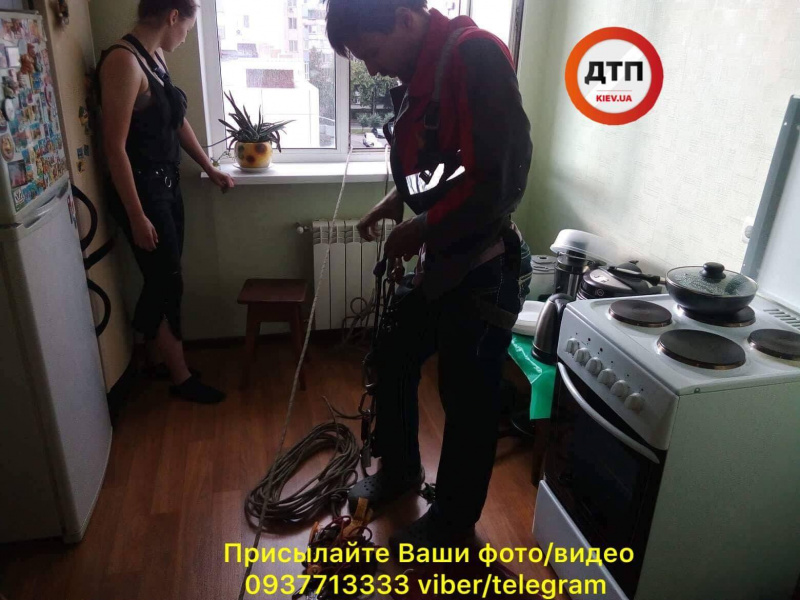 "Не залишайте без нагляду": у Києві кіт загинув, застрягши у вікні (фото, відео)