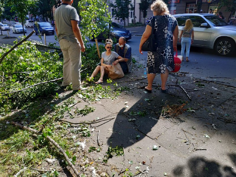 У Києві на дівчину впало дерево: фото інциденту