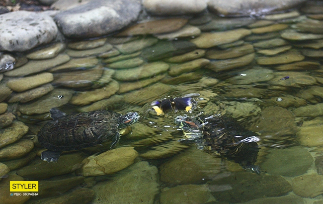 Каникулы с пользой: куда пойти со школьником