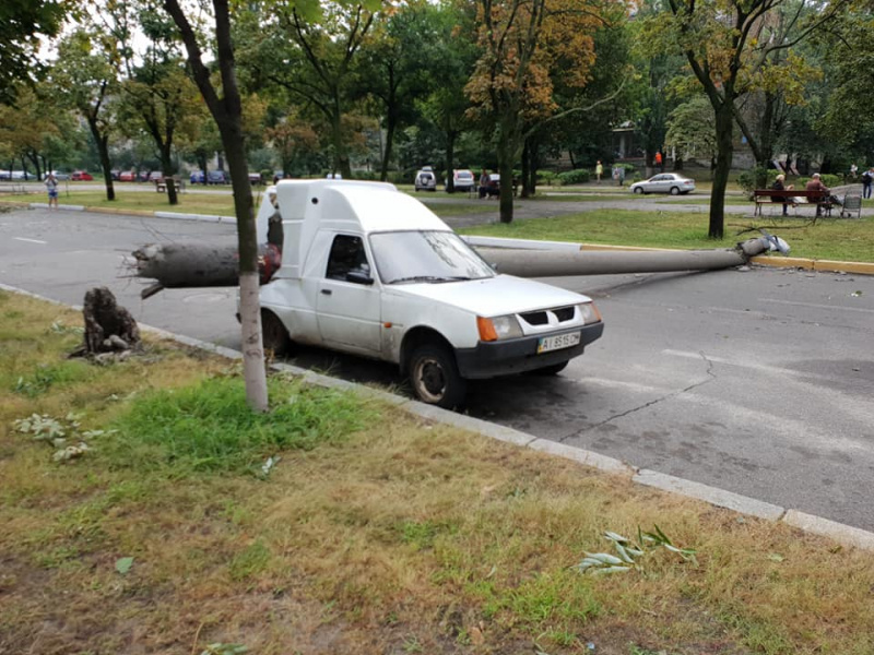"А могло ж когось прибити": у Києві через негоду стовп розтрощив авто (фото)