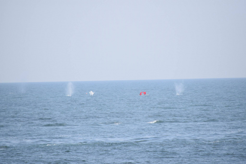 Українські військові проводять навчання з захисту Чорноморського узбережжя: з'явилися вражаючі фото