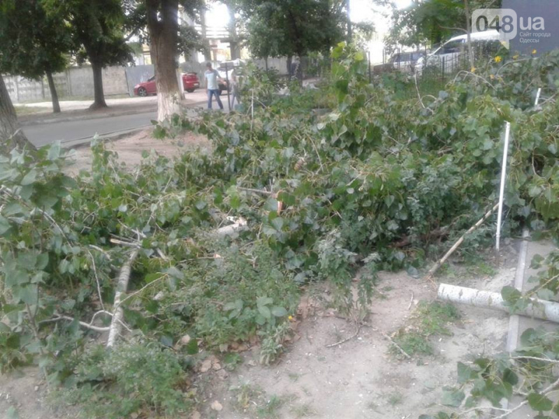 Потужна злива в Одесі: в мережі показали наслідки негоди (відео)