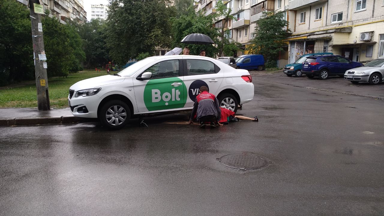 У Києві змія втекла від господарів і заповзла в автомобіль таксі (фото)