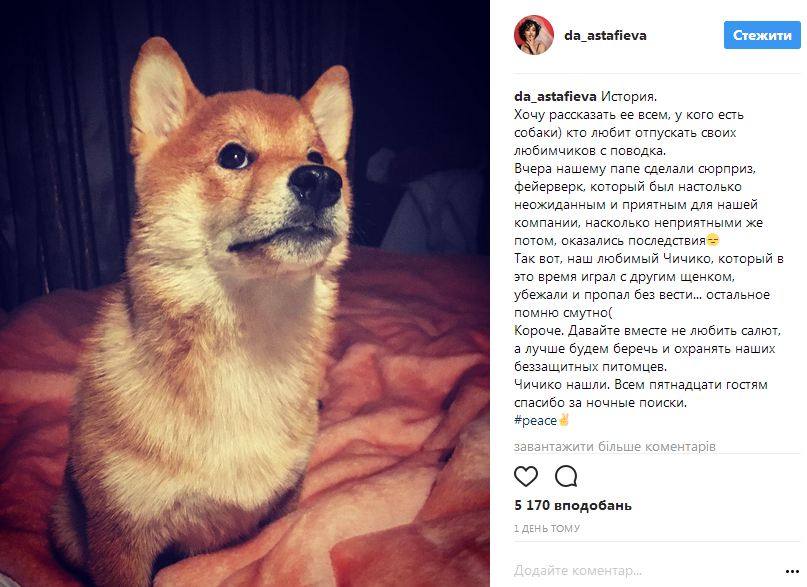 Даша Астафьева рассказала о неприятном инциденте с любимой собакой