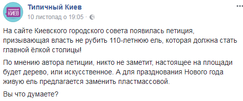 Киевляне не хотят, чтобы рубили "живое" дерево на главную елку страны