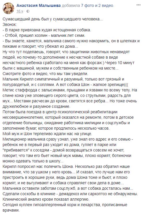 Сеть поразила история привязанной собаки и ее маленького хозяина