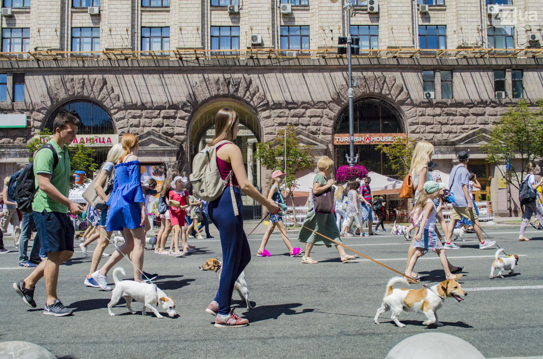 У Києві пройшов парад собак породи джек-рассел-тер'єр (фото)