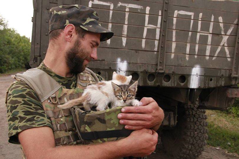 Пушистики в АТО: усатые побратимы украинских воинов (фото)