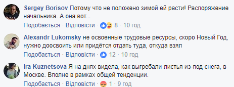 "Косят трын-траву": сеть поразило видео "целесообразной" работы дорожных служб в РФ