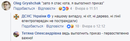 Не дали замерзнути: у Хмельницькій області рятувальники зняли з дерева кота