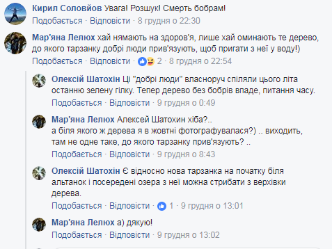 "Осторожно, атака бобров": киевлян предупредили о "банде" грызунов