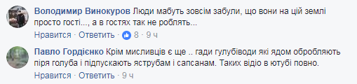 "Просто так, ради забавы": в Одесской области браконьеры застрелили краснокнижного сокола (фото)