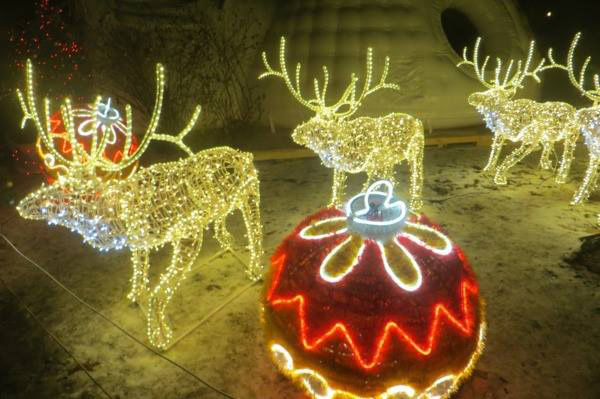 Київська резиденція Санта Клауса в Маріїнському парку офіційно відкрита