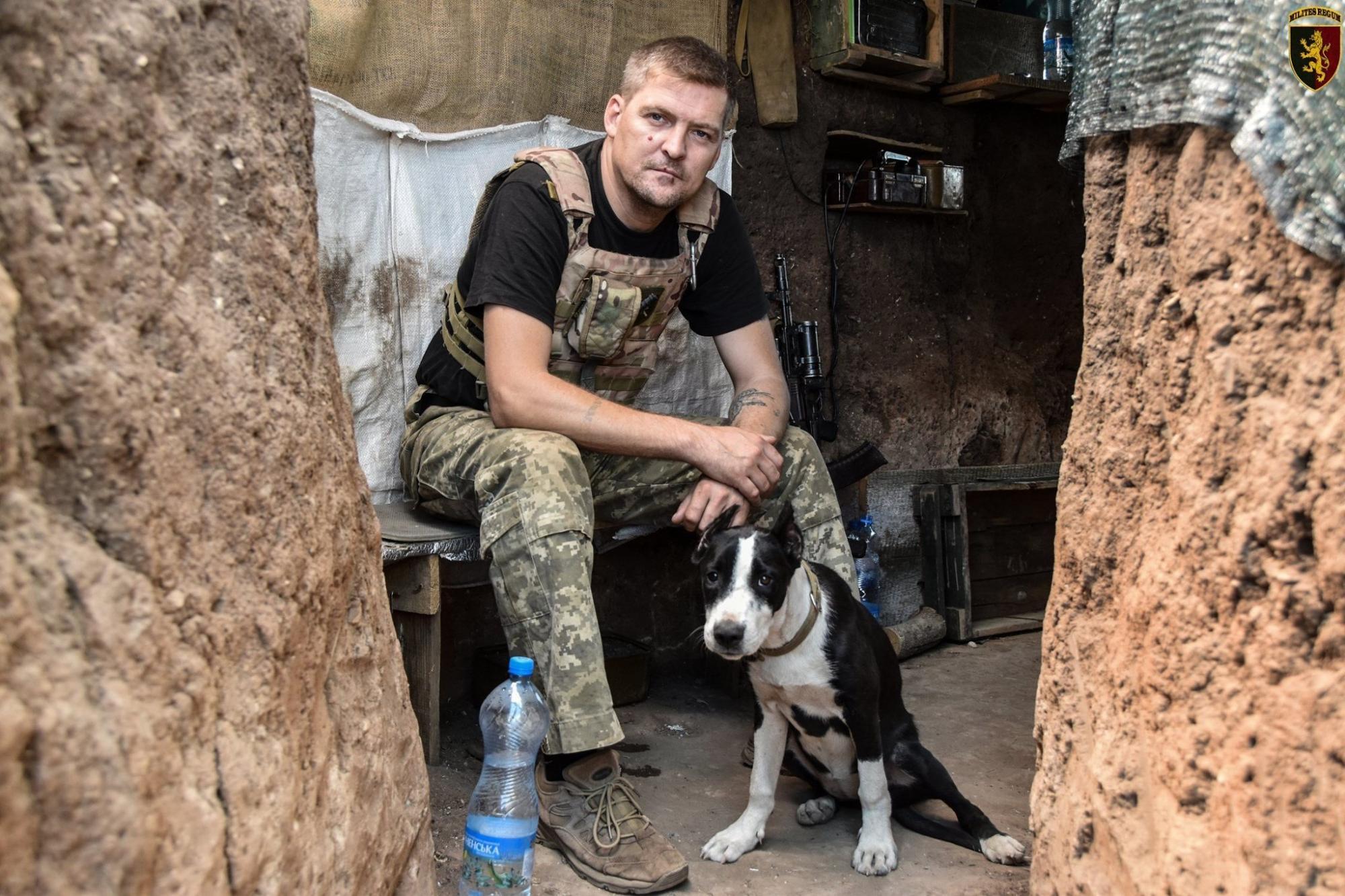 Лохматые вояки: фото верных четвероногих друзей украинских бойцов на передовой