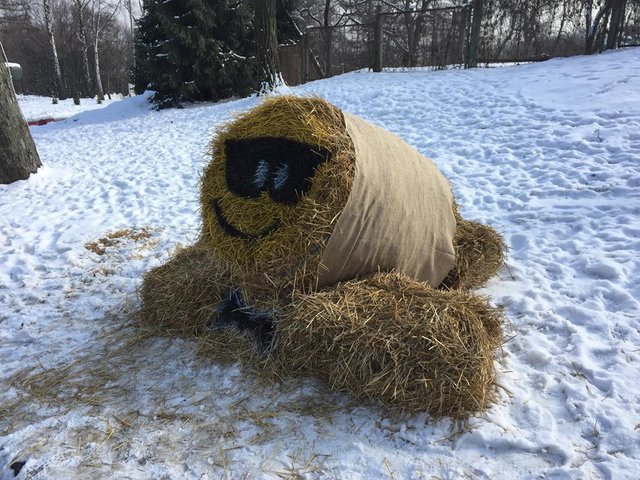 Смешно до слез: Киев "захватили" гигантские смайлики