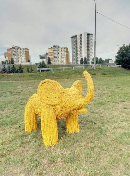 У Києві на Одеській площі оселилася сім'я слонів