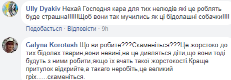 "Нема оправдання": в Івано-Франківській області жорстоко потруїли собак (відео)