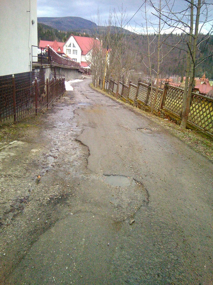 Щось пішло не так: ремонт дороги в центрі "зеленого" туризму викликав гнів у мережі (фото)