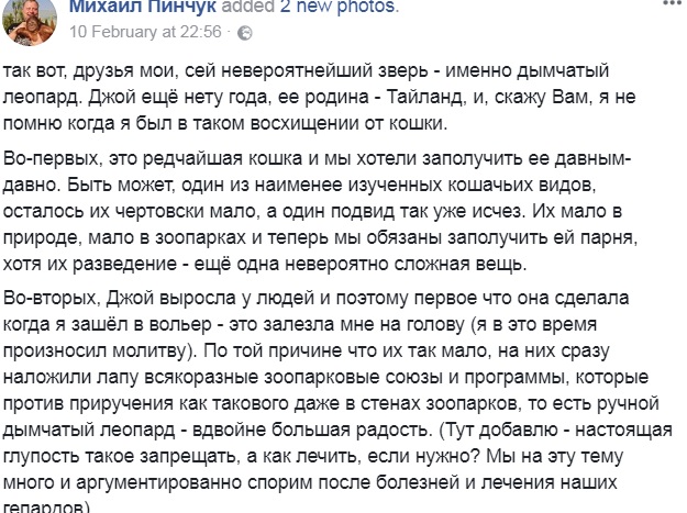 У зоопарку під Києвом з'явилася рідкісна тварина (фото)