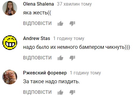 "Яжемать": две киевлянки поставили под угрозу жизни детей (видео)