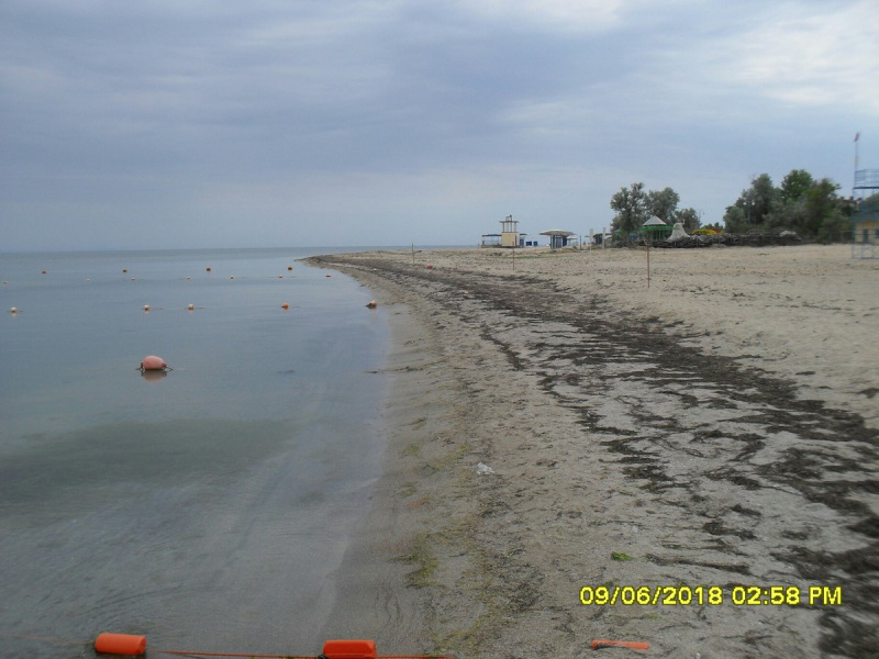 "Водорості нікому не завадять": в мережі показали пляжі Євпаторії (фото)