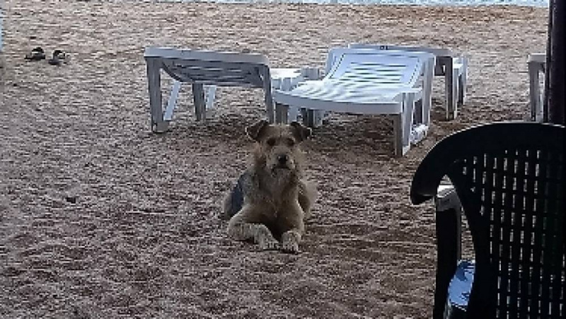 Пустота: в сети показали фото Керченского моста