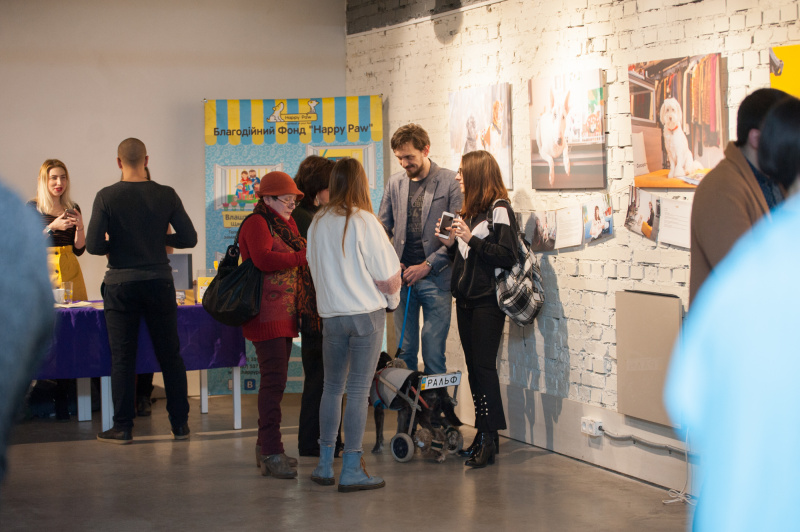 "Чотирилапе alter ego": як у Києві пройшла акція "Art to Help" (фото)