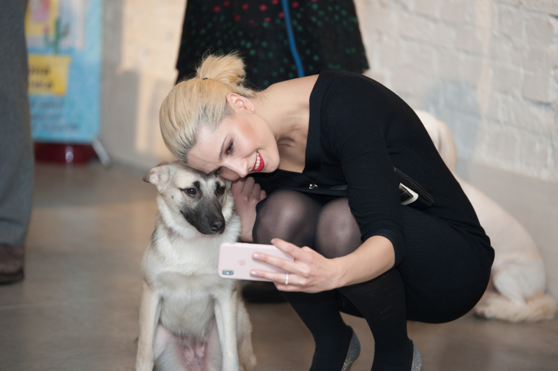 "Чотирилапе alter ego": як у Києві пройшла акція "Art to Help" (фото)