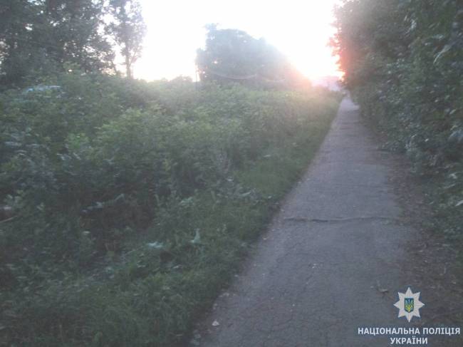 Зарезал в кустах: в Бердичеве 15-летний парень убил женщину