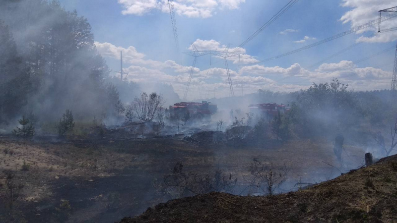 Пожар в Чернобыльской зоне: появились свежие фото и видео