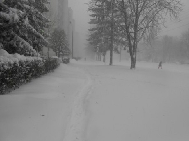 Снегопады в Украине: самые невероятные фото