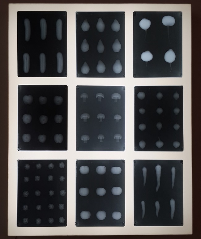 Аналоговая рентгенография "Иконография радиоактивности"