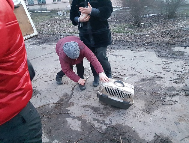 В Запорожской области зоозащитники разгромили машину отловщиков собак (фото)