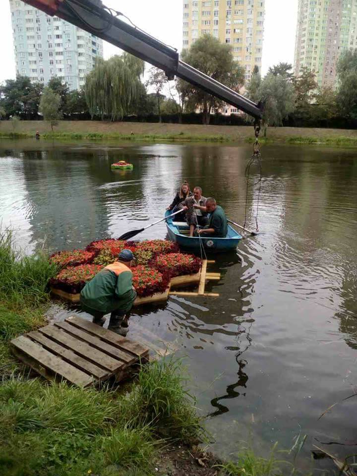 В одном из парков Киева появились плавающие клумбы