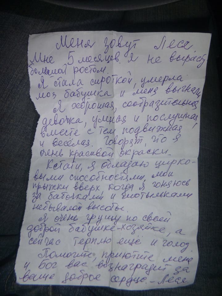 В Киеве нашли щенка с запиской от его имени