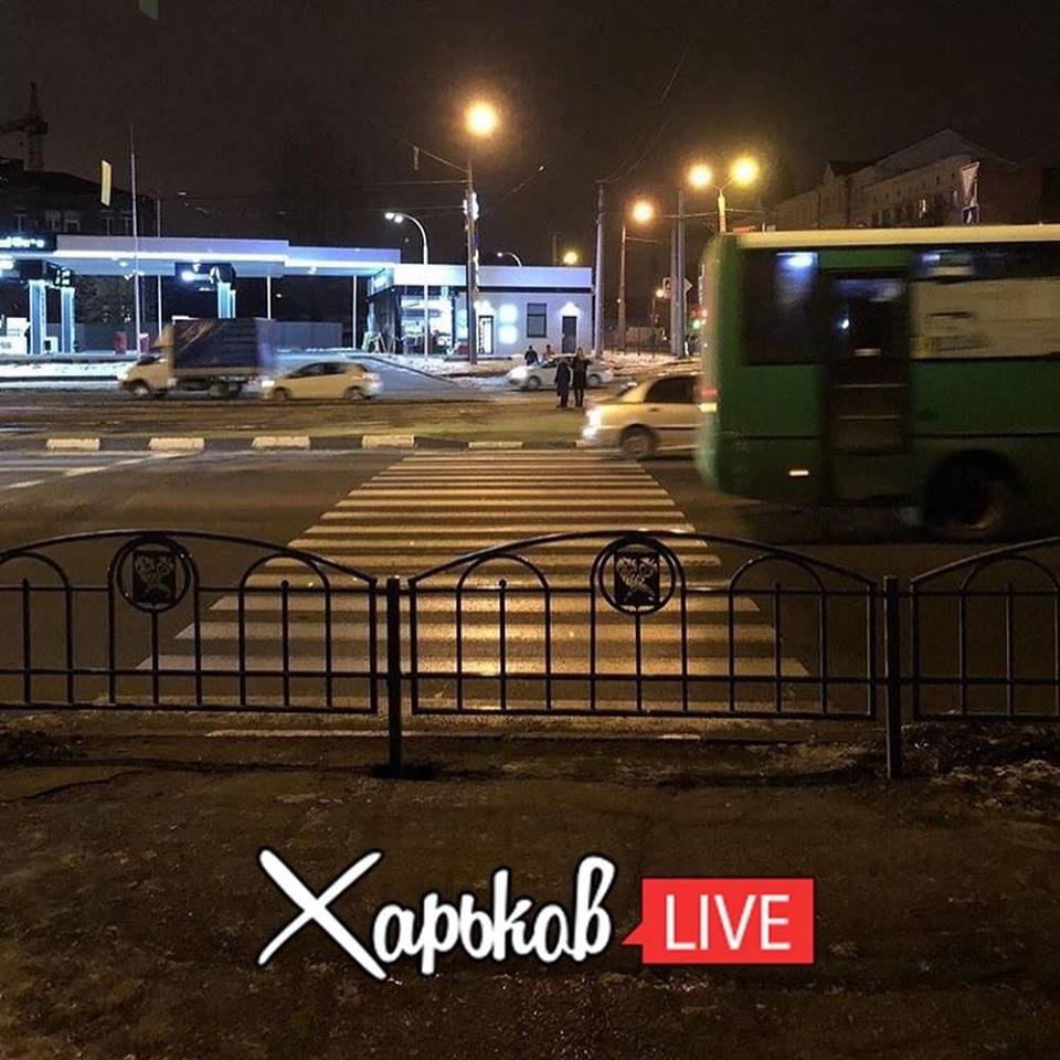 "Это по-нашему": в Харькове появилась необычная "зебра"