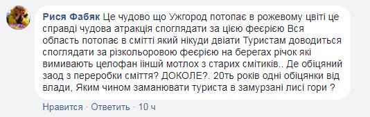 "Утопает в розовом цвету": в Ужгороде зацвели сакуры (фото и видео)