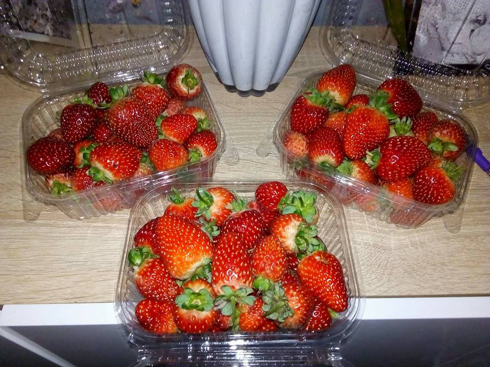 "Вирішальним став один випадок": як АТОвець зміг побудувати успішний бізнес на полуниці