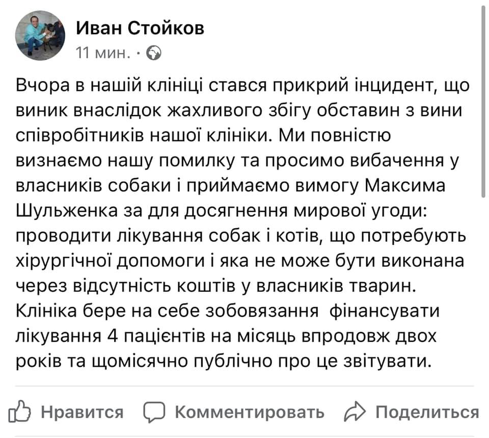 В Киеве в ветклинике стерилизовали собаку, хотя должны были просто подстричь: вспыхнул скандал