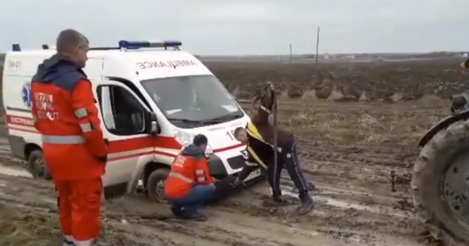 "Кінна швидка": через бездоріжжя до вмираючої бабусі медики їхали на возі